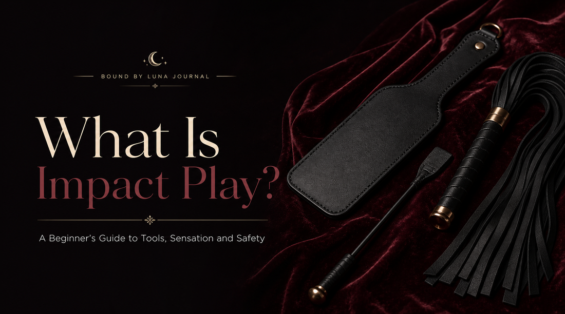 What Is Impact Play guide cover with a black leather paddle, flogger and riding crop on burgundy velvet.