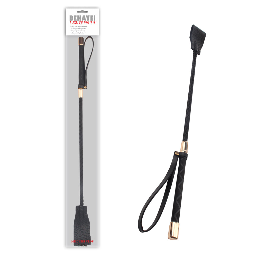 Black leather riding crop with gold accents on a white background, next to its packaging.