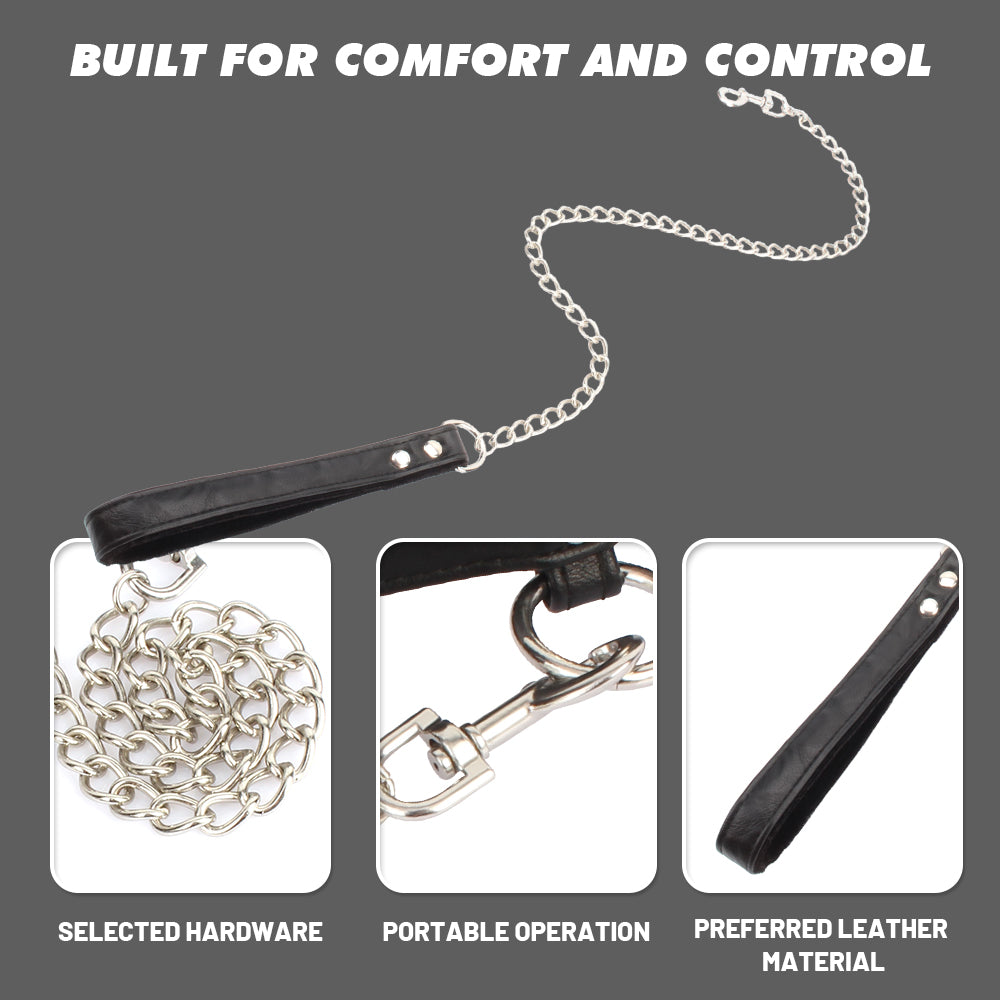 Close-up details of black leather collar and chain leash showing metal hardware, adjustable holes and leather finish